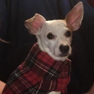 Meet your Posher, Paula